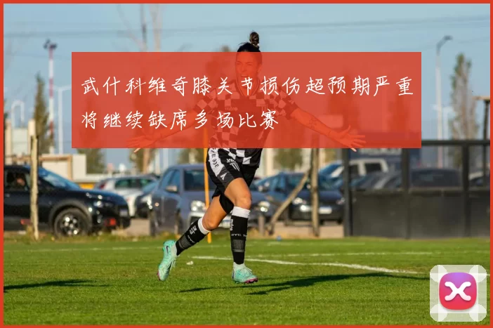 武什科维奇膝关节损伤超预期严重将继续缺席多场比赛