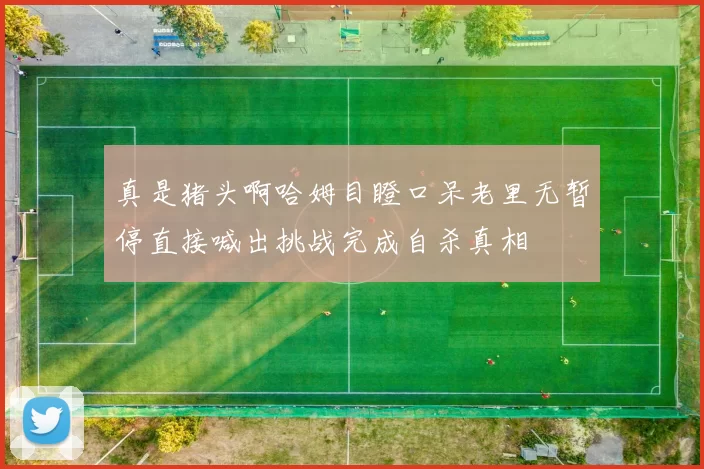 真是猪头啊哈姆目瞪口呆老里无暂停直接喊出挑战完成自杀真相